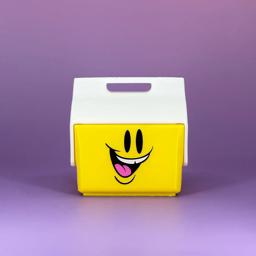 Sketone x Igloo x MINI COOLER Signed